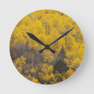 Provo River and aspen trees Round Clock