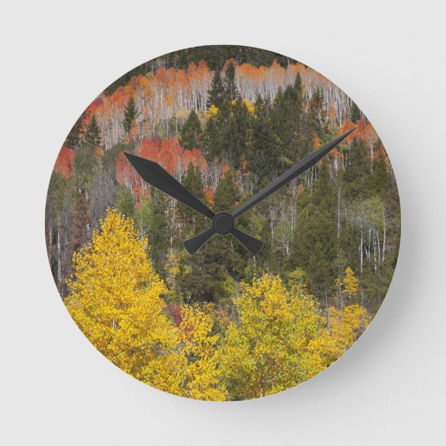 Provo River and aspen trees Round Clock (Front)