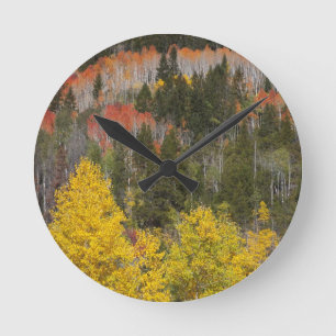 Provo River and aspen trees Round Clock