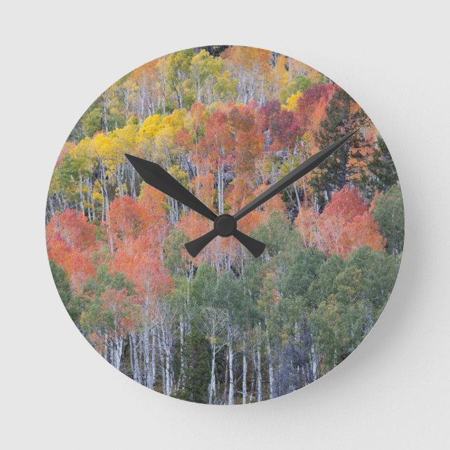 Provo River and aspen trees Round Clock (Front)