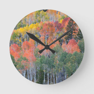Provo River and aspen trees Round Clock