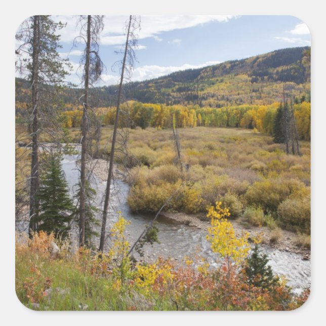 Provo River and aspen trees Square Sticker (Front)