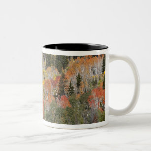 Provo River and aspen trees Two-Tone Coffee Mug