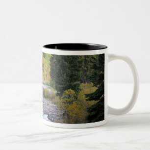 Provo River and aspen trees Two-Tone Coffee Mug