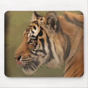 prowl mouse pad