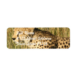 Prowling Cheetah Mailing Label Return Address Label