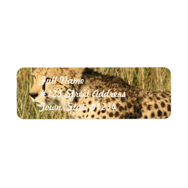 Prowling Cheetah Mailing Label Return Address Label (Front)