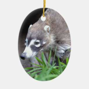 Prowling Coati Ceramic Tree Decoration