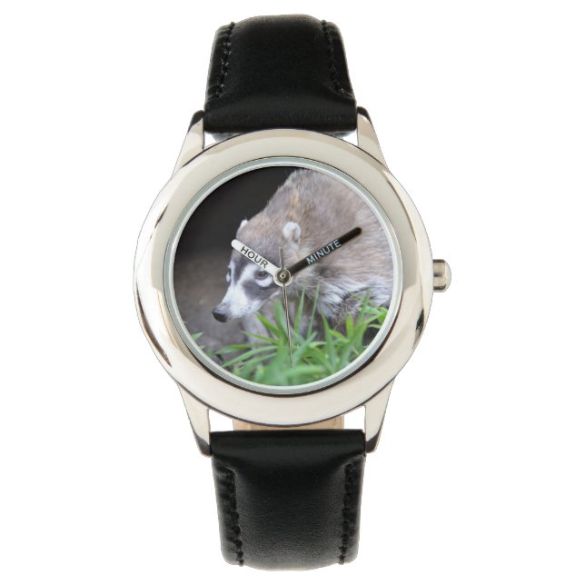 Prowling Coati Watch (Front)