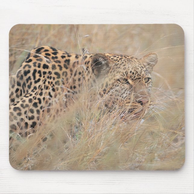 Prowling Leopard Hiding in Grassland Mouse Pad (Front)