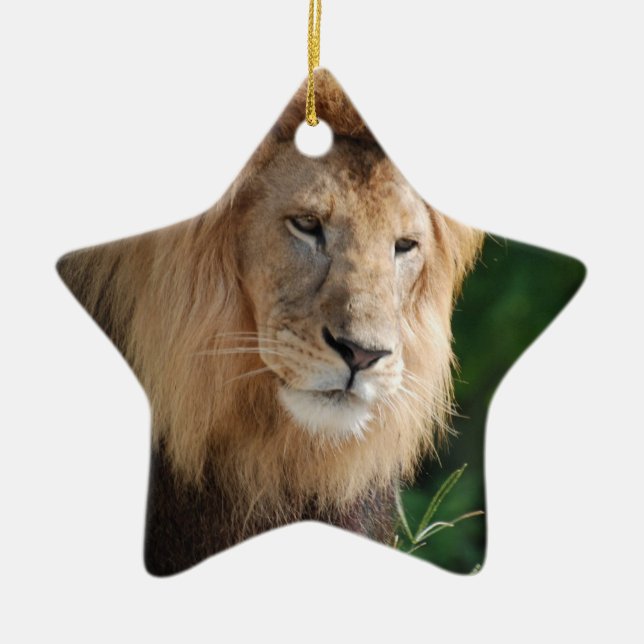 Prowling Lion Ceramic Tree Decoration (Front)