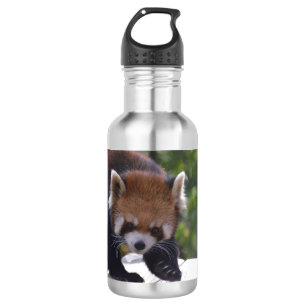 Prowling Red Panda 532 Ml Water Bottle