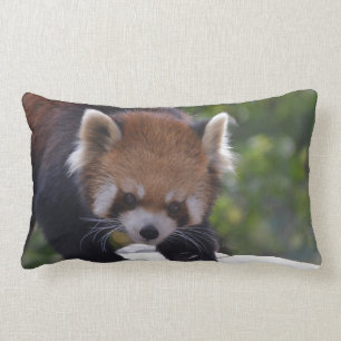 Prowling Red Panda Lumbar Cushion