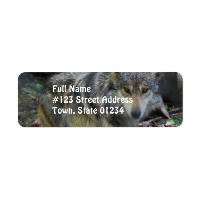 Prowling Wolf  Mailing Labels (Front)