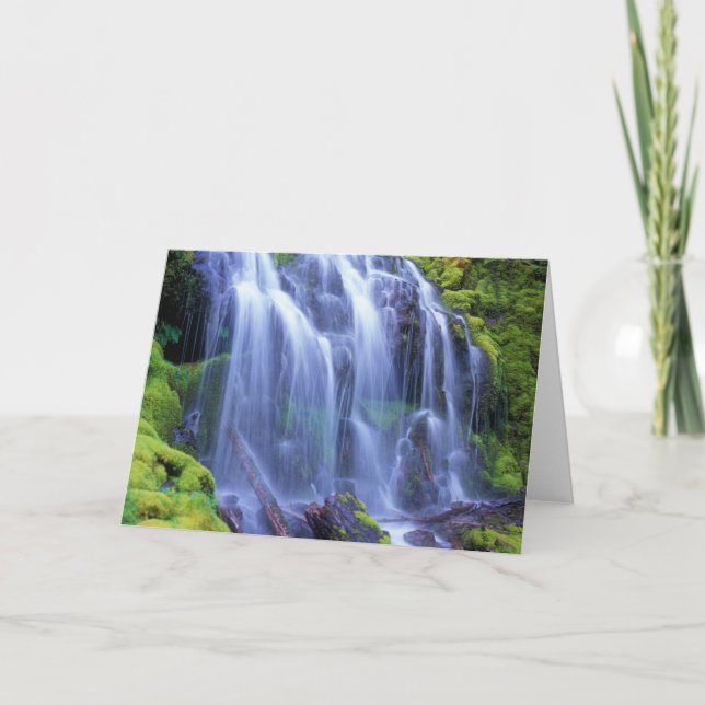 Proxy Falls in Oregon's Central Cascade Mountains Card (Front)