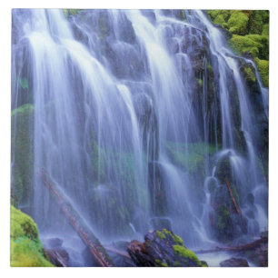 Proxy Falls in Oregon's Central Cascade Mountains Ceramic Tile
