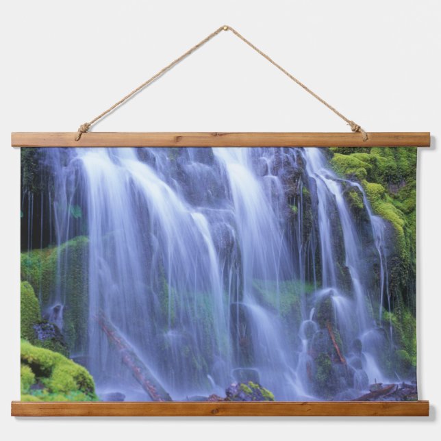 Proxy Falls in Oregon's Central Cascade Mountains Hanging Tapestry (Front)