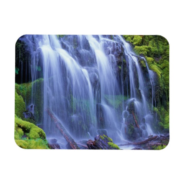 Proxy Falls in Oregon's Central Cascade Mountains Magnet (Horizontal)