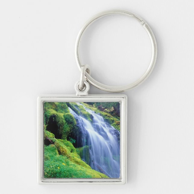 Proxy Falls in the central Oregon Cascades. Key Ring (Front)