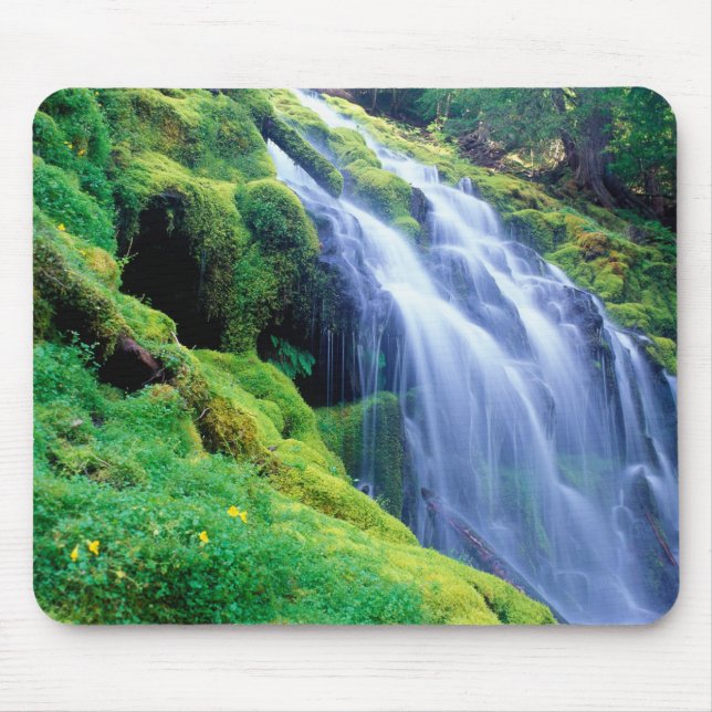 Proxy Falls in the central Oregon Cascades. Mouse Pad (Front)