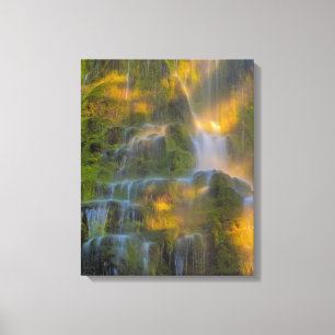 Proxy Falls Three Sisters Wilderness Oregon Canvas Print