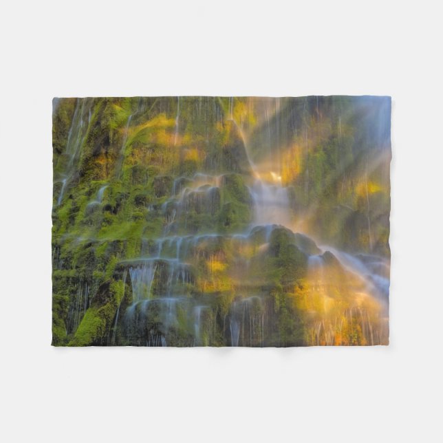 Proxy Falls Three Sisters Wilderness Oregon Fleece Blanket (Front (Horizontal))