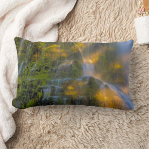Proxy Falls Three Sisters Wilderness Oregon Lumbar Cushion