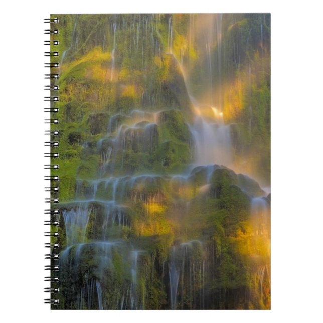 Proxy Falls Three Sisters Wilderness Oregon Notebook (Front)