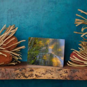 Proxy Falls Three Sisters Wilderness Oregon Plaque