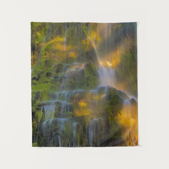 Proxy Falls Three Sisters Wilderness Oregon Tapestry (Front)