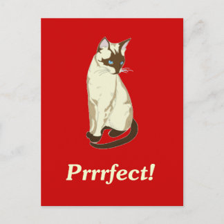 Prrrfect! Postcard