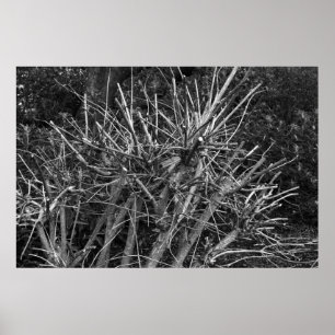 Pruned Shrub Poster