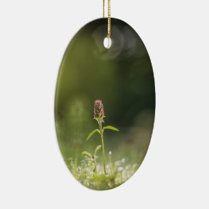 Prunella Flower Nature Photo Ceramic Ornament