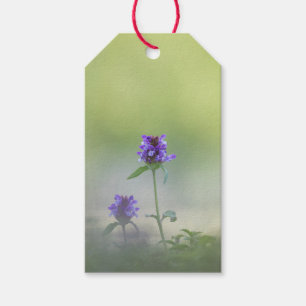 Prunella Flower Nature Photo Gift Tags