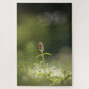 Prunella Flower Nature Photo Jigsaw Puzzle