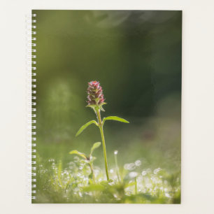 Prunella Flower Nature Photo Planner