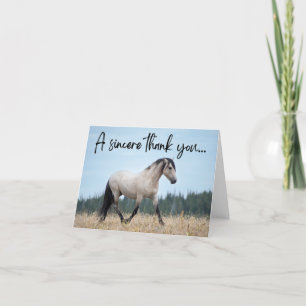 Pryor Mountain Wild Horse Thank You Card