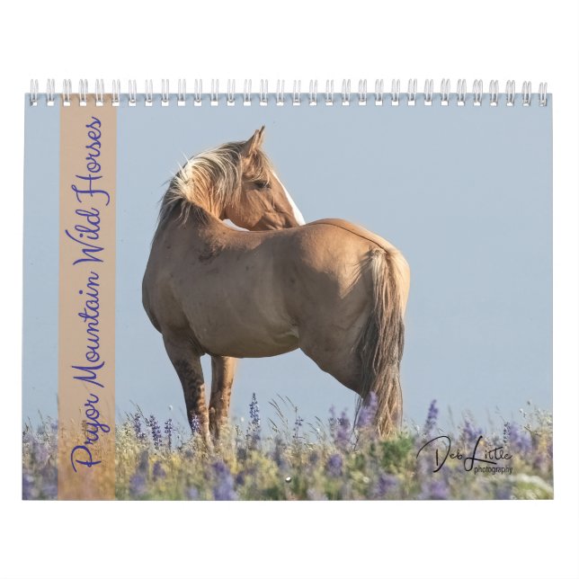 Pryor Mountain Wild Horses Calendar (Cover)