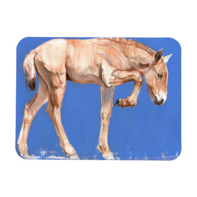 Przewalski Foal 2012 Magnet (Horizontal)