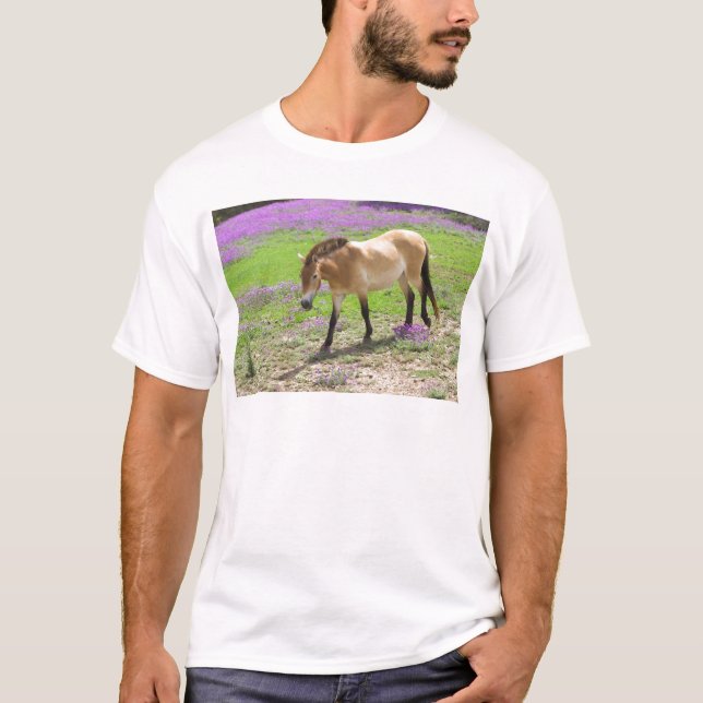 Przewalski Horse T-Shirt (Front)