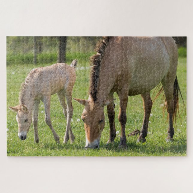 Przewalski's Horse and Foal Grazing Jigsaw Puzzle (Horizontal)