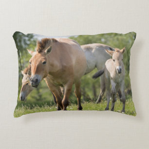 Przewalski's Horse and foal walking Decorative Cushion