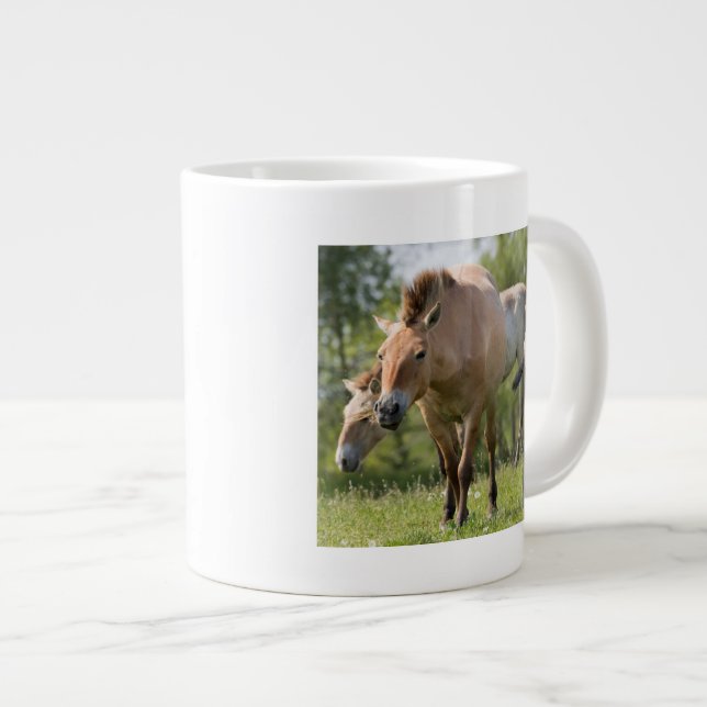 Przewalski's Horse and foal walking Large Coffee Mug (Front Right)