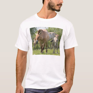 Przewalski's Horse and foal walking T-Shirt