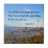 Psalm 103:2 Let all that I am praise the Lord...