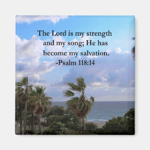 PSALM 118:14 SERENE OCEAN PHOTO DESIGN MAGNET