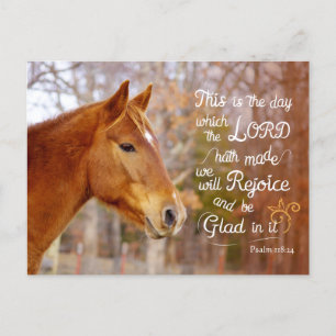 Psalm 118 Bible Verse Chestnut Horse Postcards