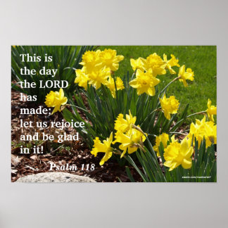 Psalm 118 Daffodil Poster