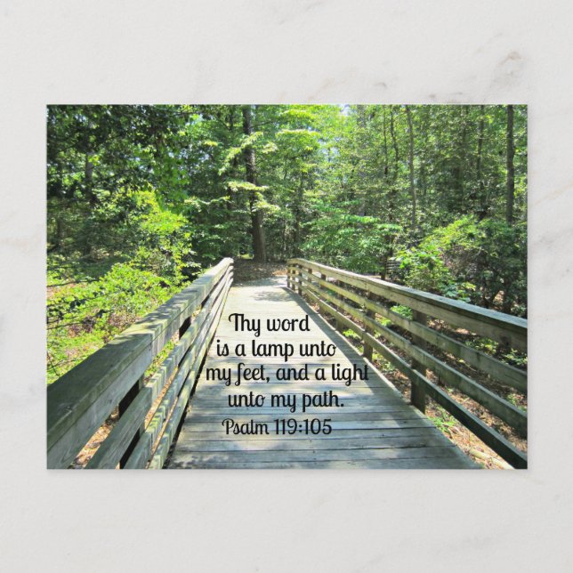 Psalm 119:105 Thy word is a lamp... Postcard (Front)