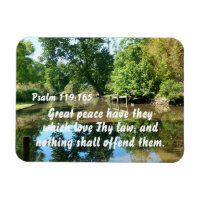 Psalm 119:165 Great peace have they which love thy